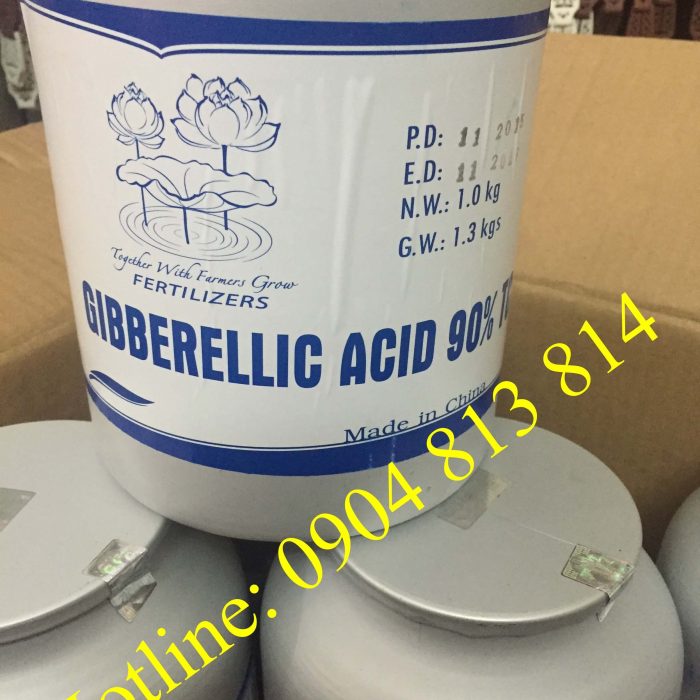 Axit Gibberellin – GA3 – Acid Gibberellic